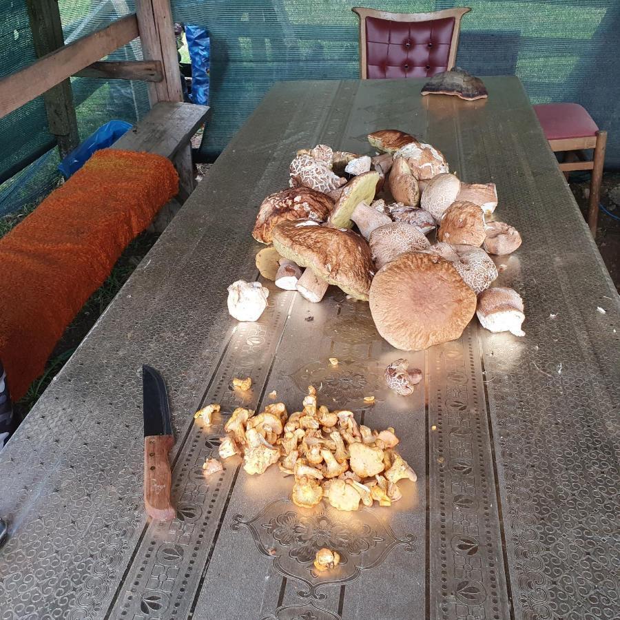 Planinska Koliba Ajdanovici Jelovac Nisicka Visoravan Olovo  Exterior foto
