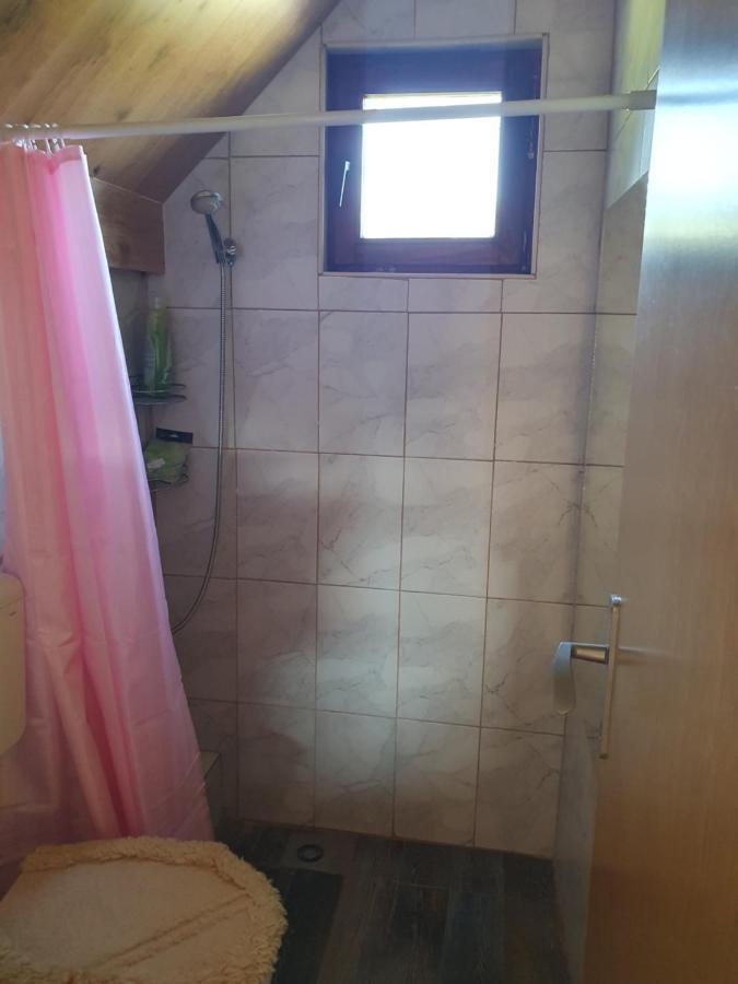 Planinska Koliba Ajdanovici Jelovac Nisicka Visoravan Olovo  Exterior foto